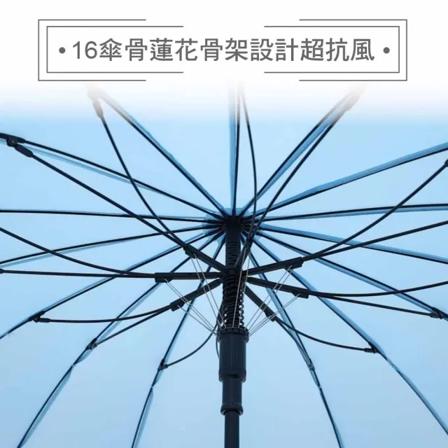 【雨傘王】BigRed 自動無敵 16骨 超強抗風 25吋自動長傘 颱風傘 大傘面(BigRed終身免費維修)