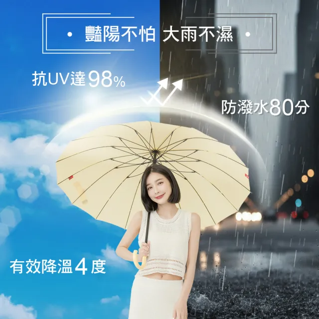 【雨傘王】BigRed 自動無敵 16骨 超強抗風 直傘 颱風傘 1-2人撐(BigRed終身免費維修)
