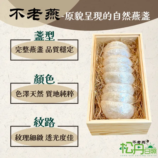 【SONG DAN DAYCARE 松丹日照】不老燕 50g(燕盞 馬來西亞進口 無添加 全家適用 日常滋補 伴手禮 禮盒)