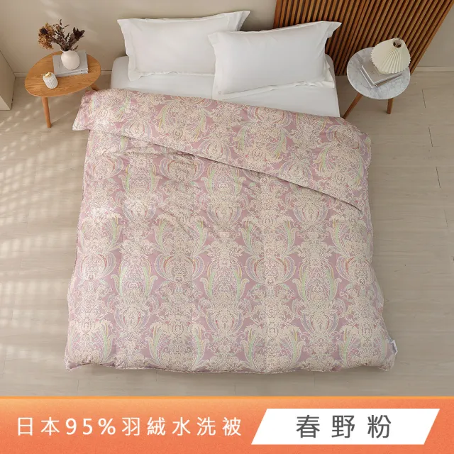 【HongYew 鴻宇】日規JIS 95D防絨水洗羽絨被 防蹣日本印花-多款任選(雙人200x220cm 冬被 棉被)