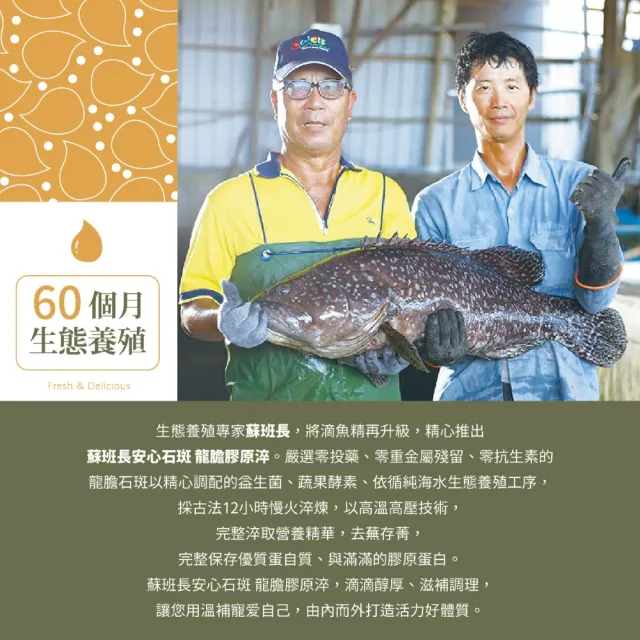 【蘇班長安心石斑】龍膽膠原淬200g/包 20包/組(龍膽石斑 滴魚精升級版 謝宜芳老師真心推薦)