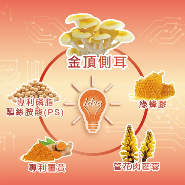 【威瑪舒培】循利寧金鼎側洱PS益康膜衣錠_四入(共120錠_全素_專利薑黃_丹蔘萃取)