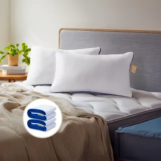 【Derek 德瑞克名床】3D透氣獨立筒枕-涼感好眠2入組(高彈力支撐 完美釋放壓力)