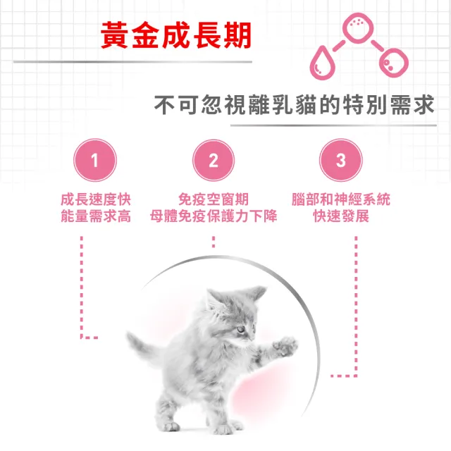 【ROYAL 法國皇家】離乳貓專用飼料 BC34 4KG(貓乾糧 貓飼料 免疫力 腸胃 孕母貓 坐月子)