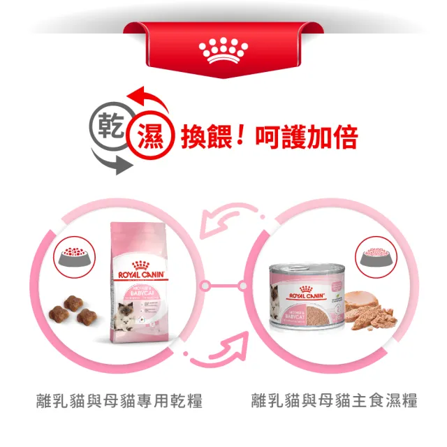 【ROYAL 法國皇家】離乳貓專用飼料 BC34 4KG(貓乾糧 貓飼料 免疫力 腸胃 孕母貓 坐月子)