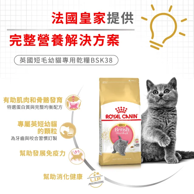 【ROYAL 法國皇家】英國短毛幼貓專用飼料 BSK38 2KG(貓乾糧 貓飼料 免疫力 腸胃)