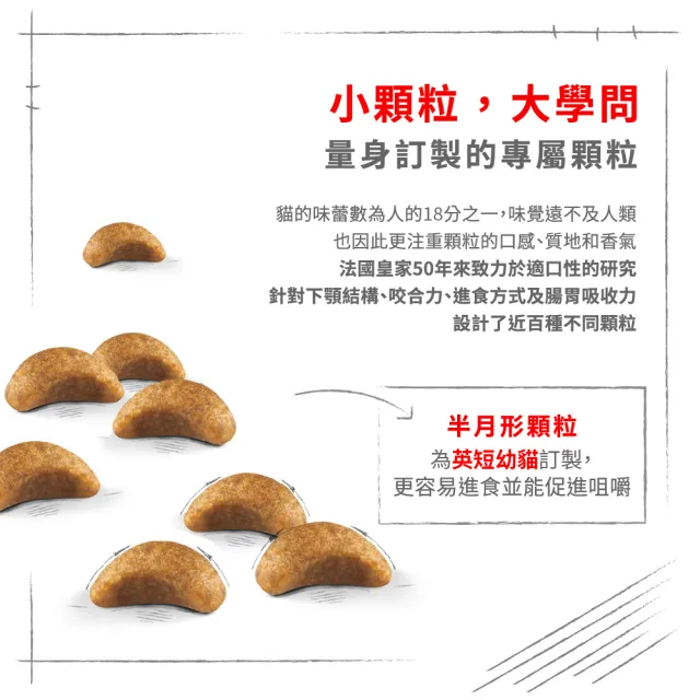 【ROYAL 法國皇家】英國短毛幼貓專用飼料 BSK38 10KG(貓乾糧 貓飼料)