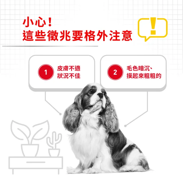 【ROYAL 法國皇家】皮膚保健小型成犬乾糧 DMMN 8KG(小顆粒 狗乾糧 狗飼料)