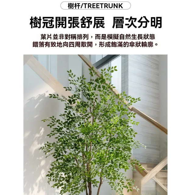 【諾必行】仿真榆錢樹 190cm2桿大型仿真綠植 落地盆栽 仿生植物 假樹 熱帶假樹