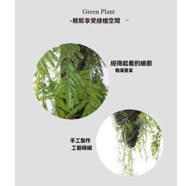 【諾必行】仿真垂吊植物 草球綠野仙蹤 吊掛盆綠植 吊掛裝飾 綠野仙蹤草球C款