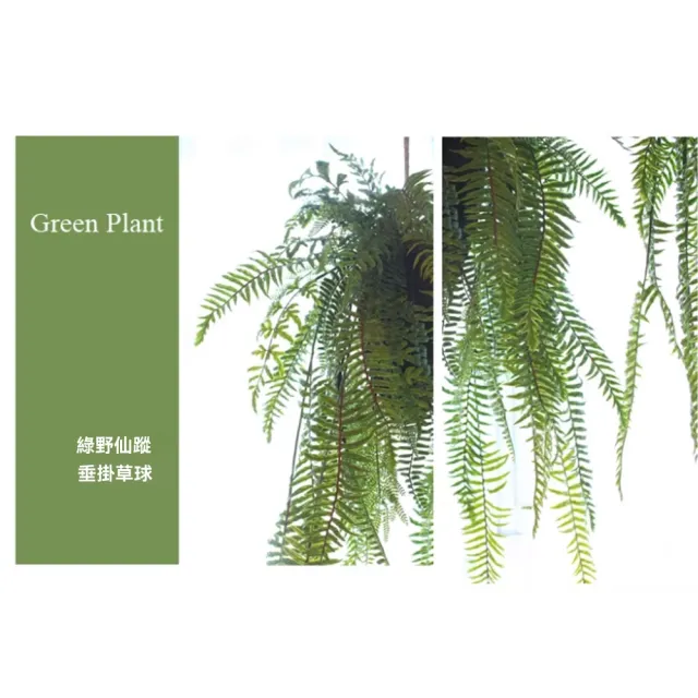 【諾必行】仿真垂吊植物 草球綠野仙蹤 吊掛盆綠植 吊掛裝飾 綠野仙蹤草球C款