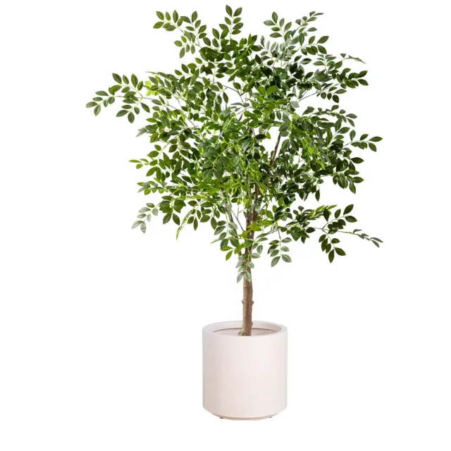 【諾必行】仿真榆錢樹 150單桿大型仿真綠植 落地盆栽 仿生植物 假樹 熱帶假樹