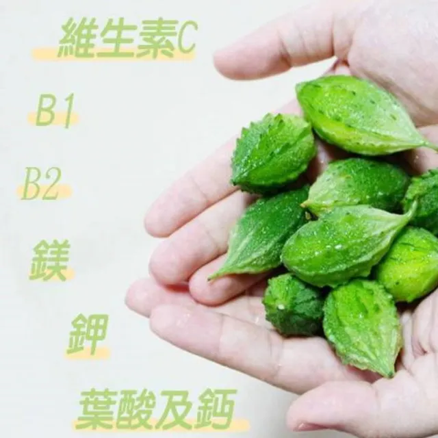 【CHYUANFA 泉發蜂蜜】山苦瓜膠囊100粒三入