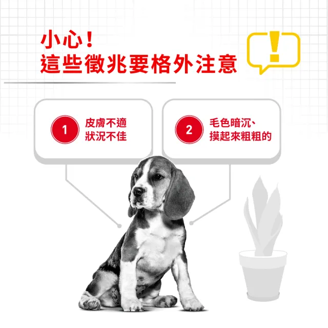 【ROYAL 法國皇家】皮膚保健中型成犬乾糧 DMM 3KG(狗乾糧 狗飼料)