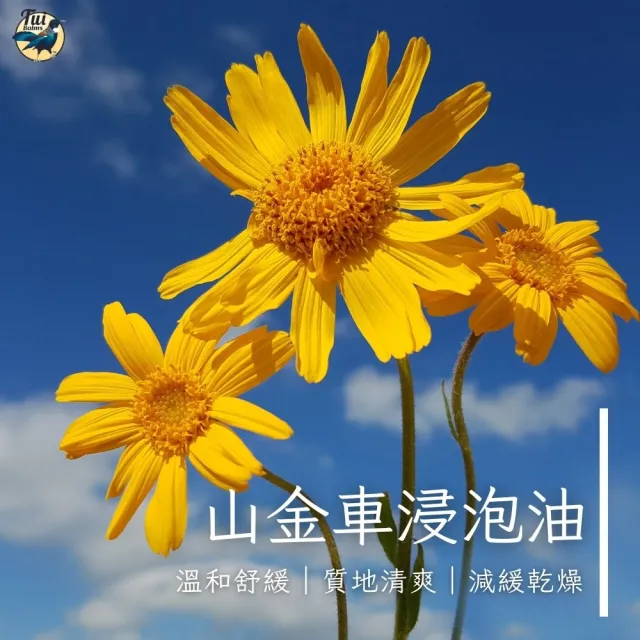 紐西蘭蜜雀運動專用身體按摩精油蜂蠟霜 250ml(精油霜 運動前後按摩 溫和舒緩放鬆)