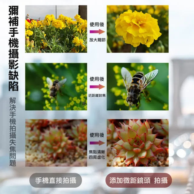 【APEXEL】100mmCPL偏光微距鏡頭 濾鏡周邊 攝影細節(光學結構 多層鍍膜鏡片 外接鏡頭)