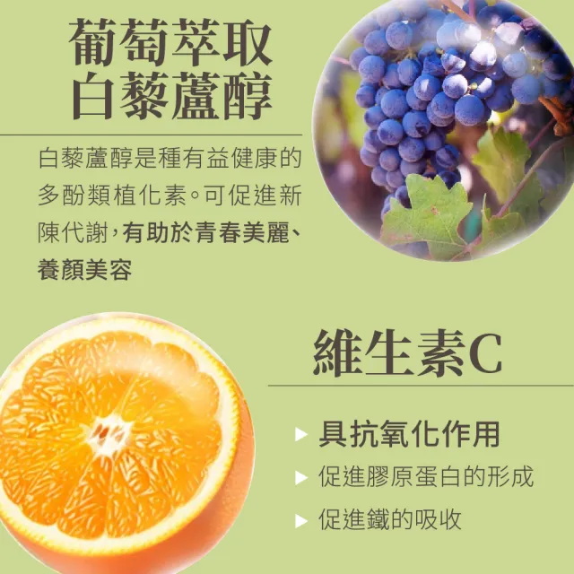 【LOVITA 愛維他】綠茶兒茶素EGCG白藜蘆醇素食膠囊 60顆(兒茶素 綠茶多酚)