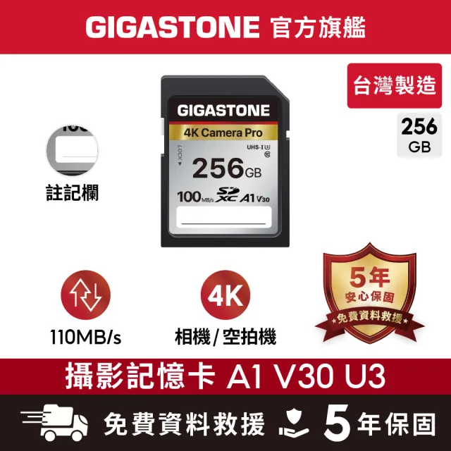 【GIGASTONE 立達】SDXC SD UHS-I U3 A1V30 4K 256GB高速記憶卡(256G 單眼相機/攝錄影機專用記憶卡)