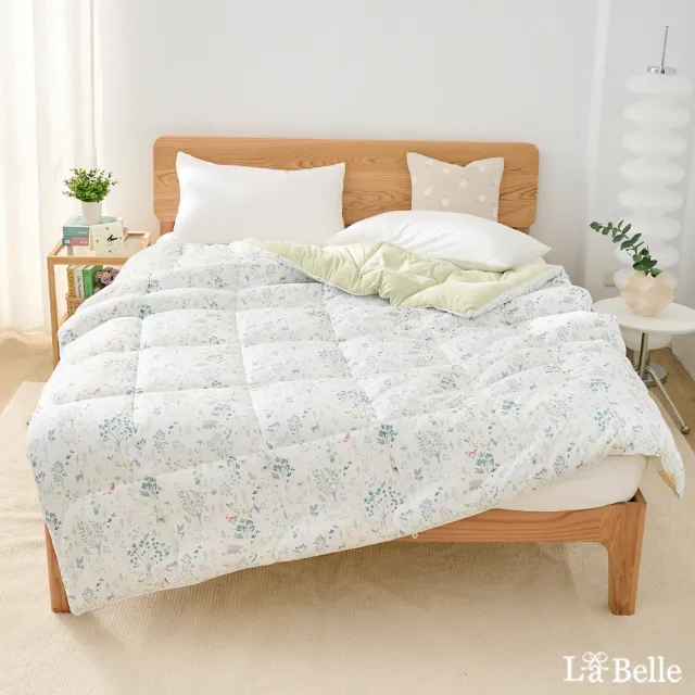 【Great Living 格蕾寢飾】La Belle 韓式雙色暖膚絨石墨烯可水洗雙人冬被(180x210cm韓國被/棉被/發熱被)