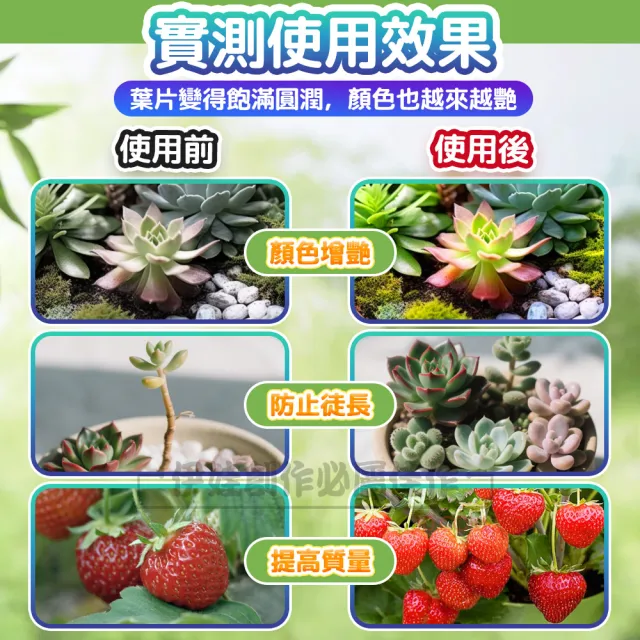【IDREES 伊德萊斯】LED植物生長補光燈 全光譜植物燈管 USB智能定時 植物生長燈