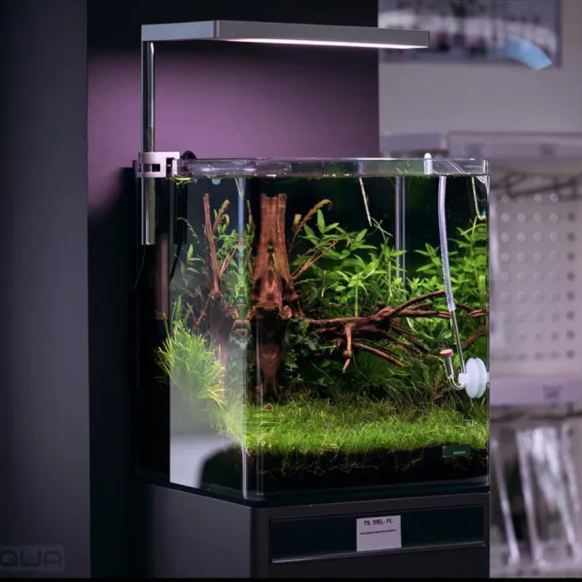 【ONF 光之間】ONF Flat Nano 水陸植物培育燈具-夾燈款(銀)
