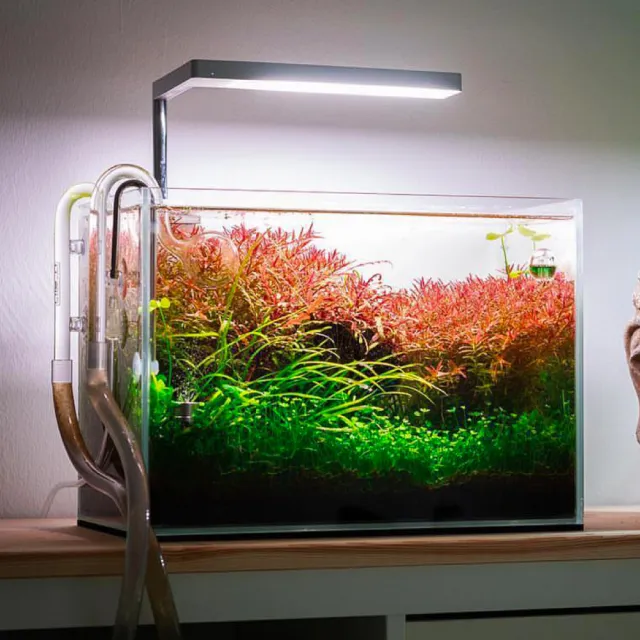 【ONF 光之間】ONF Flat Nano 水陸植物培育燈具-夾燈款(銀)