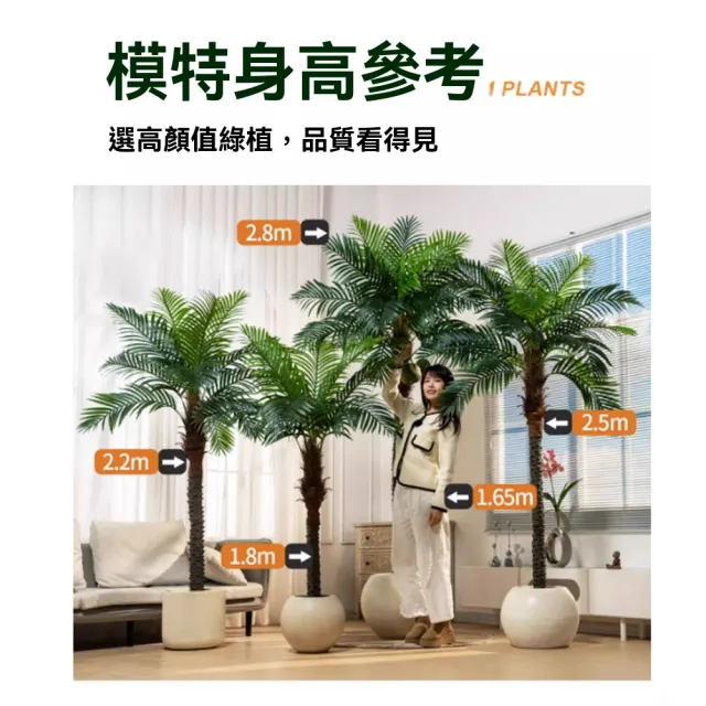 【諾必行】170cm仿真樹綠植 刺葵散尾葵 仿生假樹 假綠植 室內盆栽 落地擺件