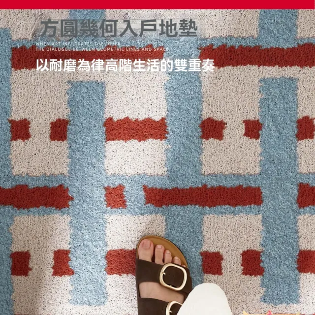 新川 入戶門地墊80×120CM 進門門口玄關腳墊 免洗可擦耐磨耐髒門墊