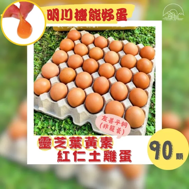 【明川蛋品】靈芝葉黃素紅仁土雞蛋×90顆_30顆/盤_新鮮直送(友善平飼*非籠養*靈芝三萜&金盞花葉黃素機能蛋)