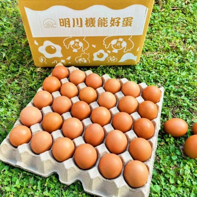 【明川蛋品】靈芝葉黃素紅仁土雞蛋×60顆_30顆/盤_新鮮直送(友善平飼*非籠養*靈芝三萜&金盞花葉黃素機能蛋)