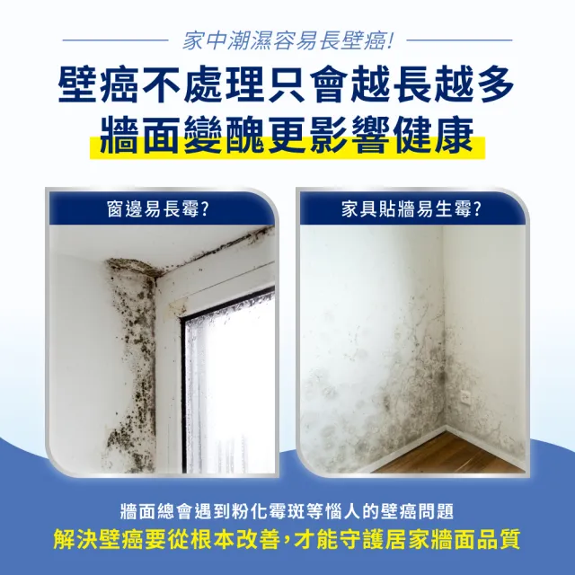 【得利】Dulux官方旗艦店★抗壁癌威力包（3公升組裝）(壁癌 牆壁發霉)