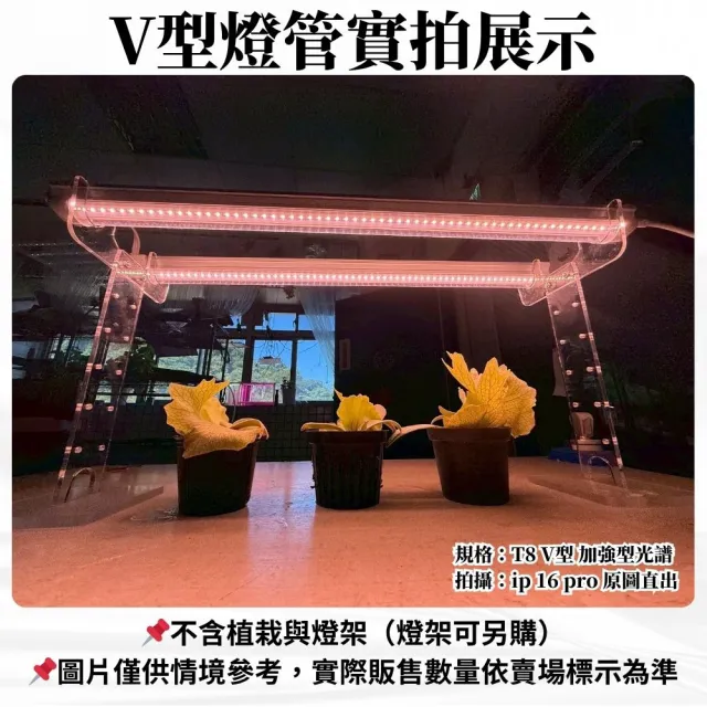 【JIUNPEY 君沛】2入組 T8一體式V型植物燈管 3呎50W 加強型光譜(植物生長燈)