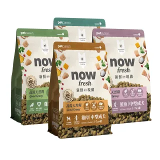【Now!】雞肉/鮭魚/牛肉 成老犬配方 300克 狗狗高湯天然糧(小型犬 中型犬 乾濕兩吃 火雞高湯 犬糧 WDJ)