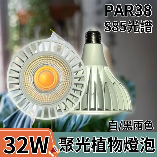 【JIUNPEY 君沛】嚴選 PAR38 LED32W聚光透鏡高光效植物燈 白色 S85光譜(植物生長燈 植物燈)