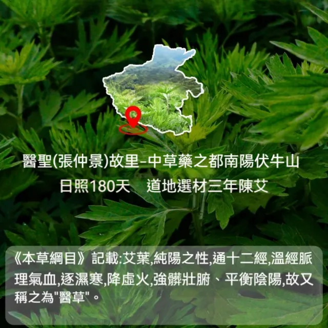 【楠阳艾】買2送3 艾草頸椎貼膝蓋貼腰椎貼3款可選(熱敷貼 關節貼 肩周貼 腰椎貼 艾灸草本貼布)