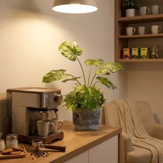 【HUGO DECO 榆果傢飾】城市綠意龜背芋工業風布紋袋盆栽(春節/過年/新春/送禮/祝賀)