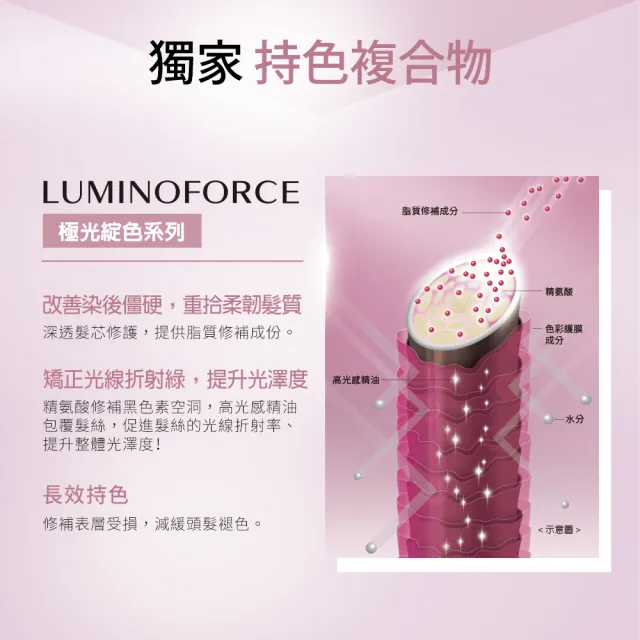 【SHISEIDO PROFESSIONAL 資生堂專業美髮】極光綻色洗髮露250ml(染後 / 護色)