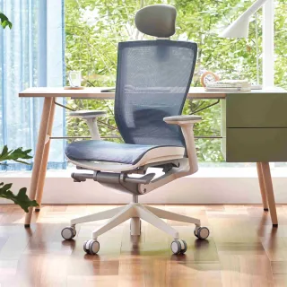 【SIDIZ】T50AIR升級腰靠款全網高階人體工學椅(辦公椅電腦椅透氣網椅)