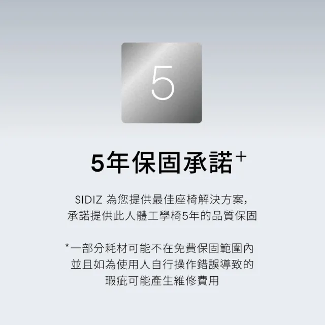 【SIDIZ】T50AIR升級腰靠款全網高階人體工學椅(辦公椅電腦椅透氣網椅)