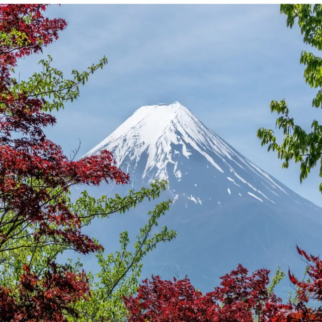 樂桃東京五日純機票｜09-10月早去晚回贈網卡+行李託運20公斤-單人券