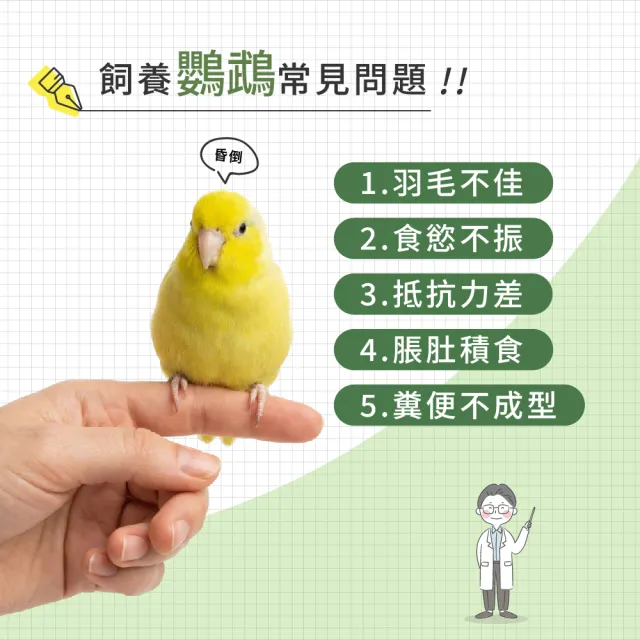 【WeWant 威旺】鸚鵡用益生菌+益生元-腸胃2菌配方30g (鳥類保健/鳥益生菌/鸚鵡/鳥)