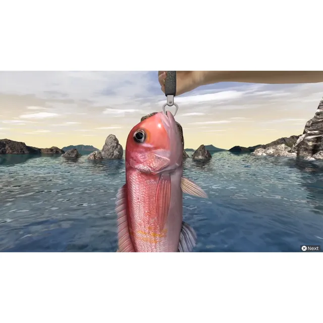 【Nintendo 任天堂】NS Switch 戶外釣魚:夏日時光 中英日文美版 Reel Fishing Days of Summer