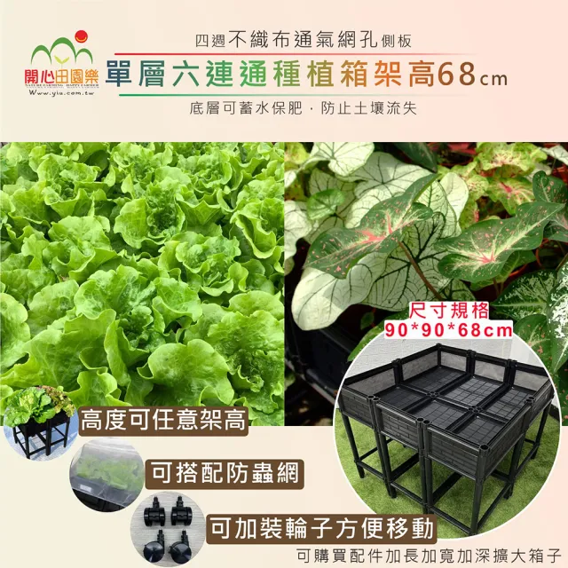 【田園樂】育材單層六連通箱架高款90*90cm(組合種植箱/籃耕離地栽培/任選68、78cm)