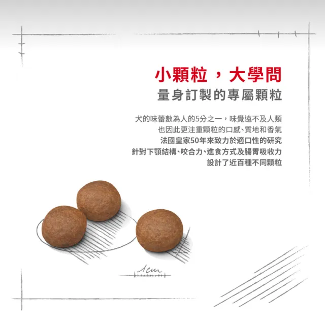 【ROYAL 法國皇家】腸胃保健大型成犬 DGMX 12KG(狗乾糧 狗飼料)