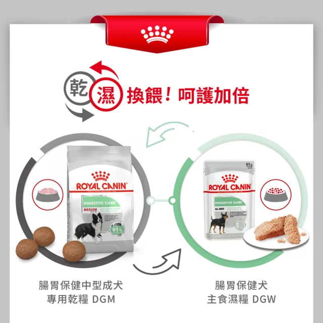 【ROYAL 法國皇家】腸胃保健大型成犬 DGMX 12KG(狗乾糧 狗飼料)