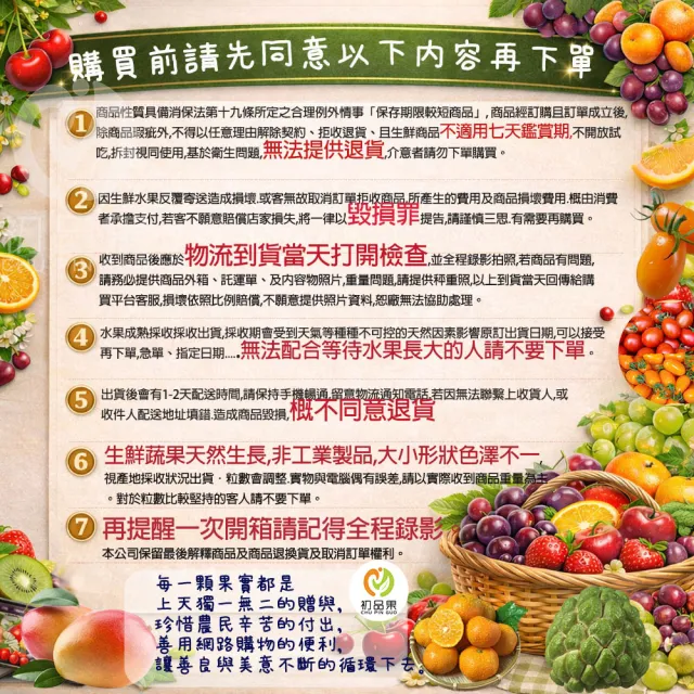 【初品果】高雄六龜蜜風鈴蓮霧禮盒2斤12粒x1盒(每顆約100g/送禮/禮盒/水果禮盒)