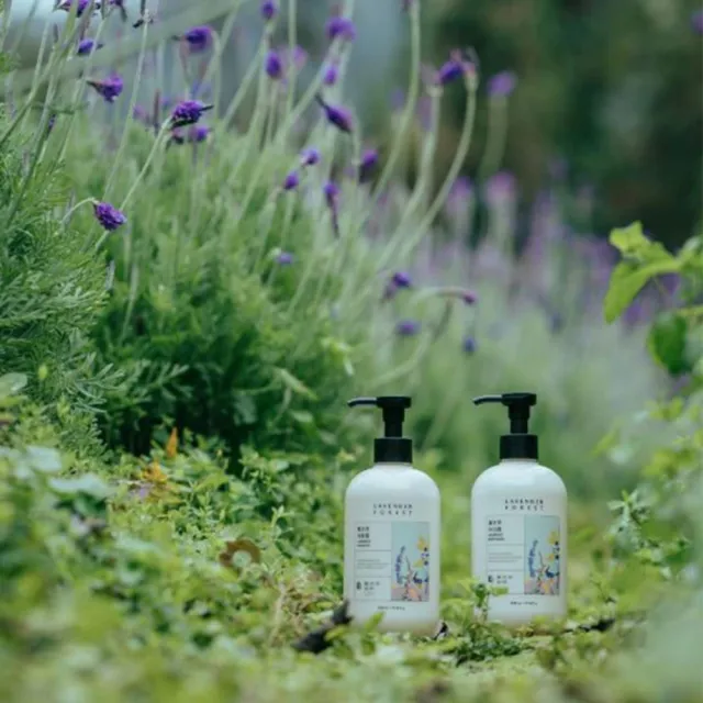 【LAVENDER FOREST 薰衣草森林】薰衣草 / 沐光森林 洗沐系列 任選2入 | 洗髮精 洗髮露 沐浴乳 沐浴露