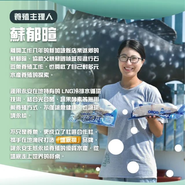 【蘇班長安心石斑】初學者生態養殖無毒大草蝦380g*3盒組 一盒約6尾 魚蝦共生(吃得純淨 才是真正的極致海味)