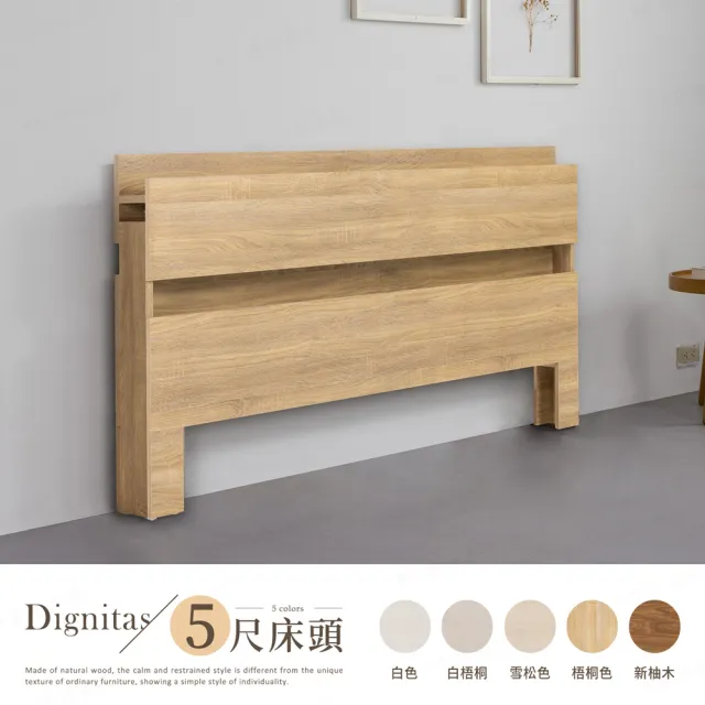 【H&D 東稻家居】DIGNITAS狄尼塔斯5尺插座雙人床頭片 MIT 台灣製(附燈 床頭箱 多色選)