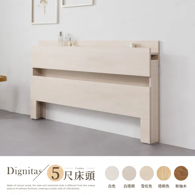 【H&D 東稻家居】DIGNITAS狄尼塔斯5尺插座雙人床頭片 MIT 台灣製(附燈 床頭箱 多色選)